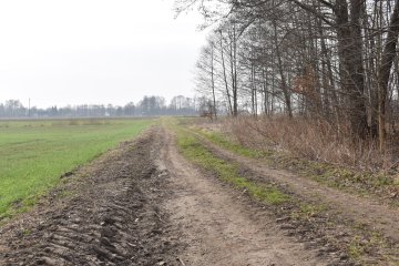 Przetarg na budowę drogi do terenów inwestycyjnych w Gołkowicach